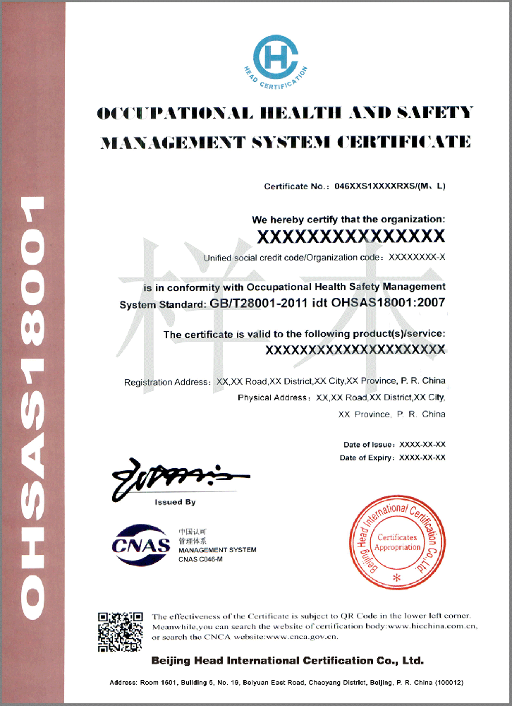 ISO 18001 英文