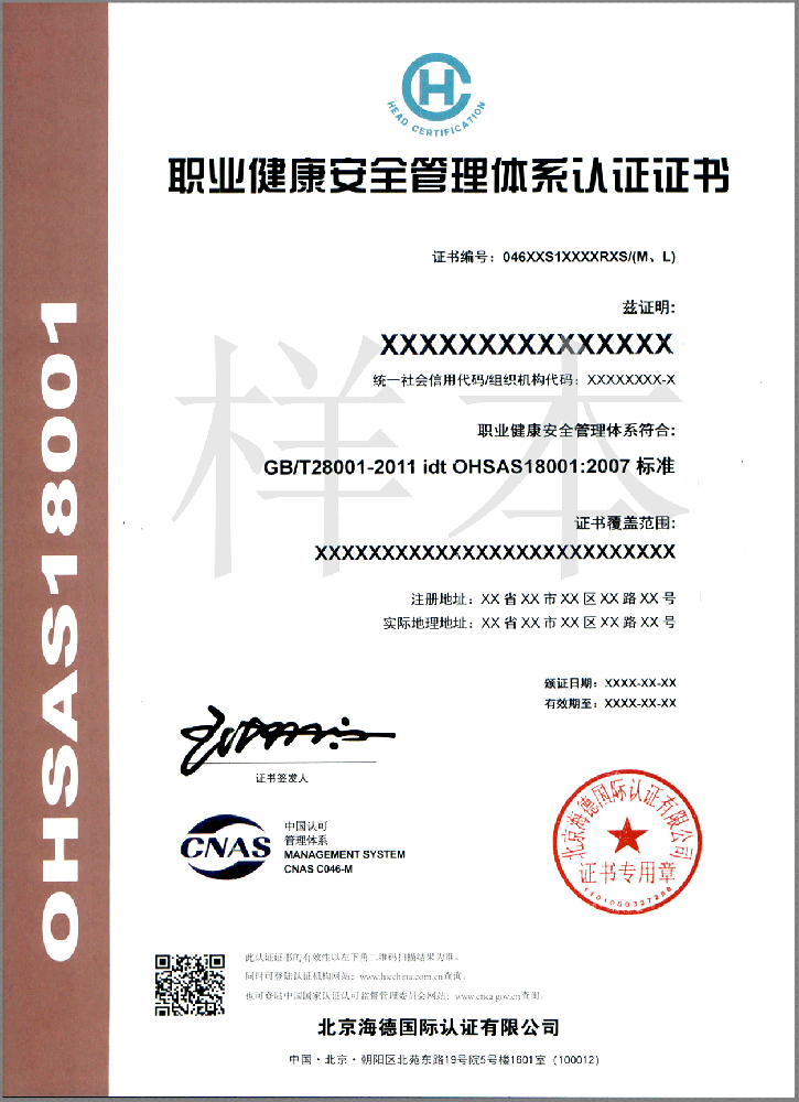 ISO 18001 中文
