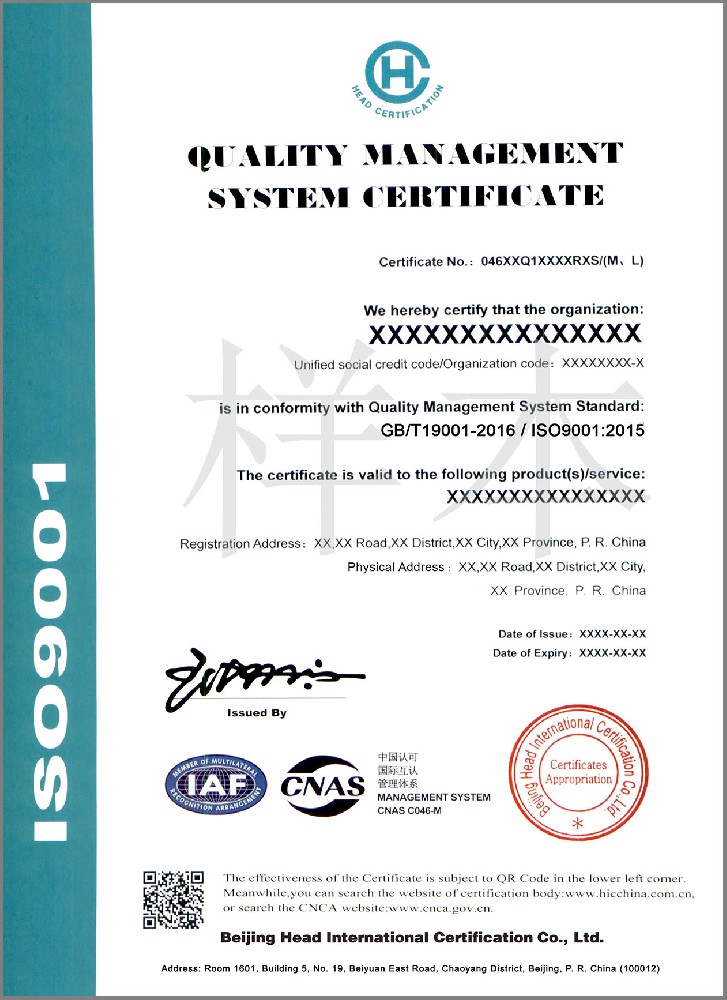 ISO 9001 英文